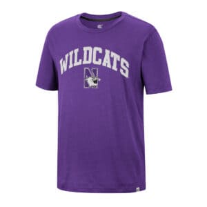 Northwestern University Wildcats Colosseum Men's Mens Earth 1St Recycled S/S Tee