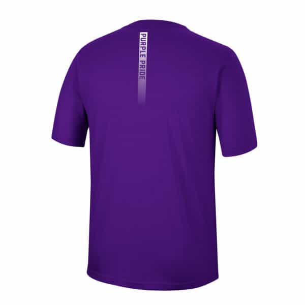 Northwestern University Wildcats Colosseum Men's Mcfiddish S/S Tee - Back Side