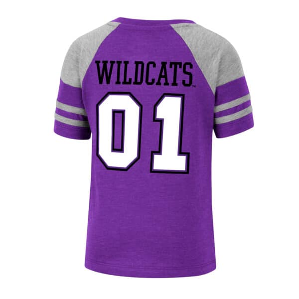 Northwestern University Wildcats Colosseum Toddler Boys Michael Football Tee - Back Side