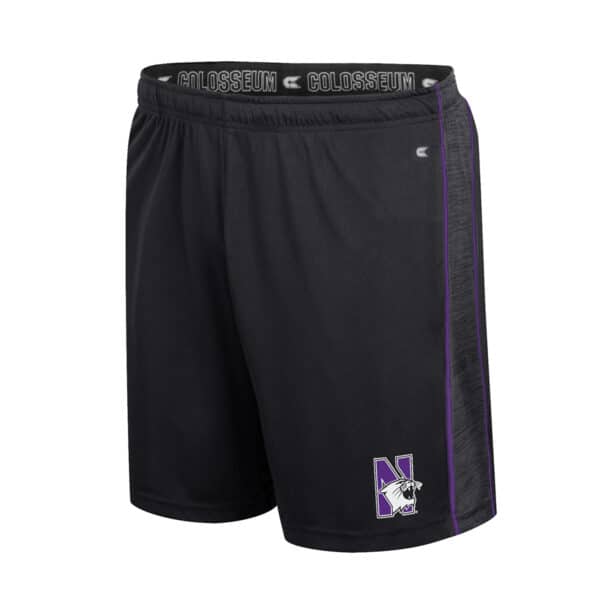 Northwestern University Wildcats Colosseum Men's Tempest Short