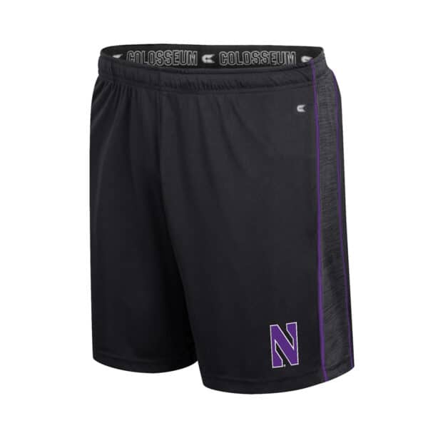 Northwestern University Wildcats Colosseum Men's N Logo Tempest Short