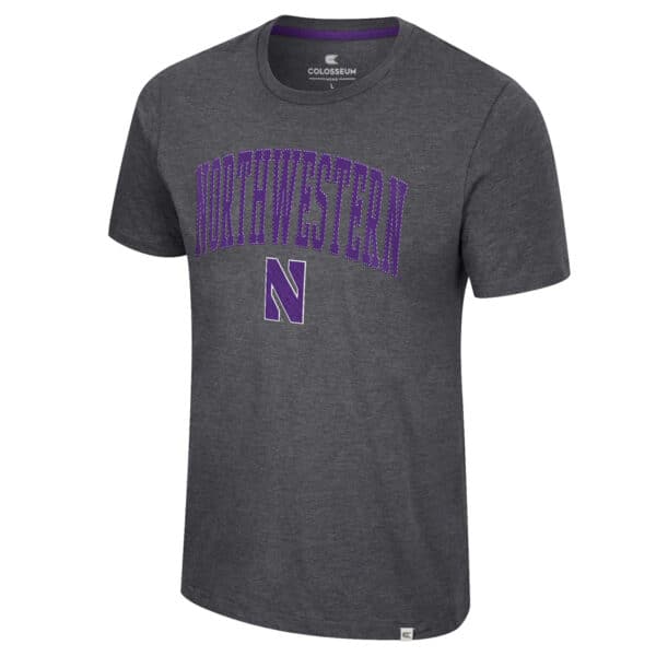 Northwestern University Wildcats Colosseum Men's Grey Only One Earth Recycled S/S Tee