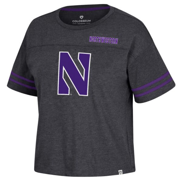 Northwestern University Wildcats Colosseum Ladies Grey Only One Earth Recycled S/S Tee