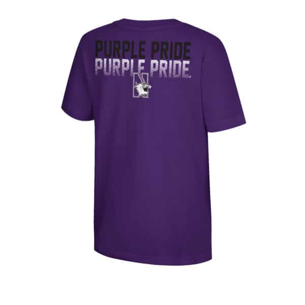 Northwestern University Wildcats  Colosseum Youth Boys Newfoundland S/S Tee - Back Side
