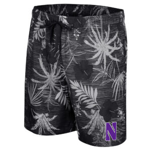 Northwestern University Wildcats Men's Colosseum Black What Else Is New? Swim Short