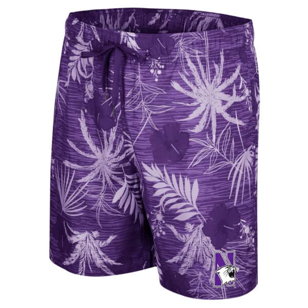 Northwestern University Wildcats Men's Colosseum Purple What Else Is New? Swim Short