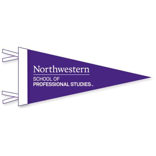 Northwestern School of Professional Studies Wool Felt Pennant Size Large 12"X30"