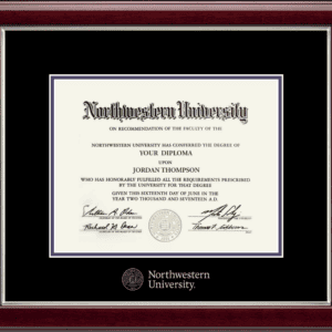 Northwestern University Wildcats Silver Embossed Diploma Frame in Gallery Silver with black and purple mats