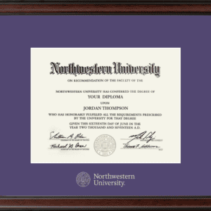 Northwestern University Wildcats Silver Embossed Diploma Frame in Studio with a purple mat