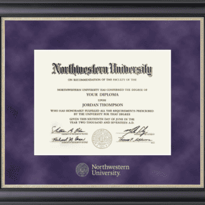 Northwestern University Wildcats Gold Embossed Diploma Frame in Noir with a purple suede mat