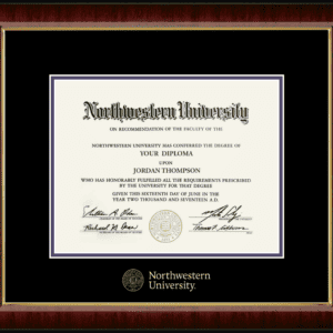 Northwestern University Wildcats Gold Embossed Diploma Frame in Murano with black and purple mats