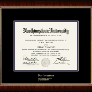 Northwestern University Wildcats Gold Embossed McCormick School of Engineering Diploma Frame in Murano with black and purple mats