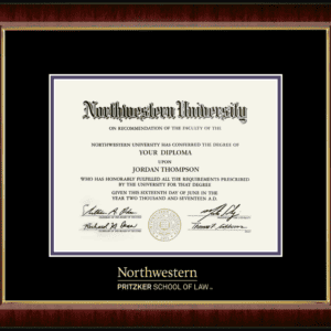 Northwestern University Wildcats Gold Embossed Pritzker School of Law Diploma Frame in Murano with black and purple mats