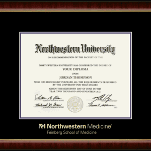 Northwestern University Wildcats Gold Embossed Feinberg School of Medicine Diploma Frame in Murano with black and purple mats