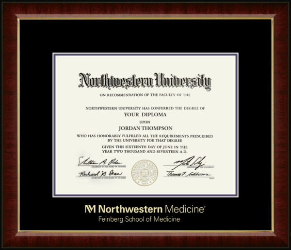 Northwestern University Wildcats Gold Embossed Feinberg School of Medicine Diploma Frame in Murano with black and purple mats