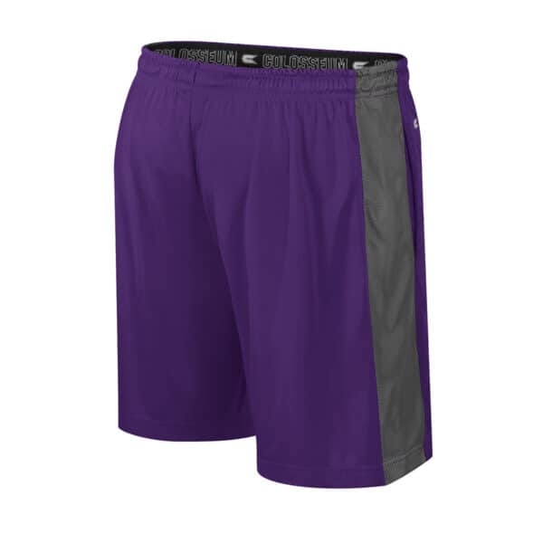 Northwestern University Wildcats Colosseum Men's Smach Talk Purple Shorts-Back