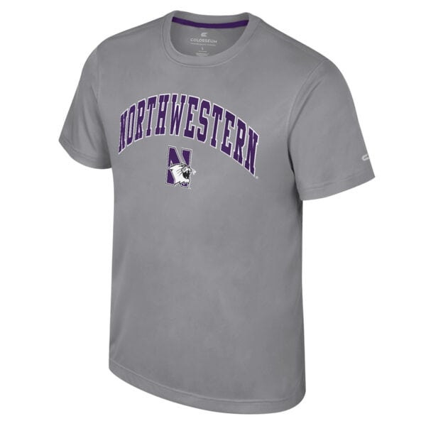 Northwestern University Wildcats Colosseum Men's Snell Gray S/S Poly Tee