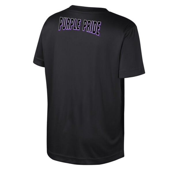 Northwestern University Wildcats Colosseum Youth Hargrove Black S/S Tee -Back