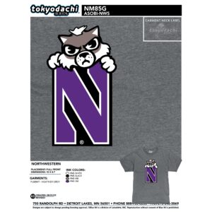 Northwestern University Wildcats Tokyodachi Asobi Design Heather Gray Bi-blend Tee Shirt