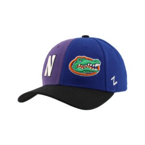 Northwestern University Wildcats House Divided Hat with Florida Gators-1