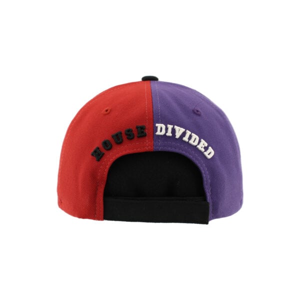 Northwestern University Wildcats House Divided Hat with USC Trojans-Back1