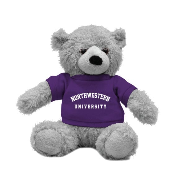 Northwestern University Wildcats Gray Junior Teddy Bear Wearing Purple "Northwestern University" Tee Shirt