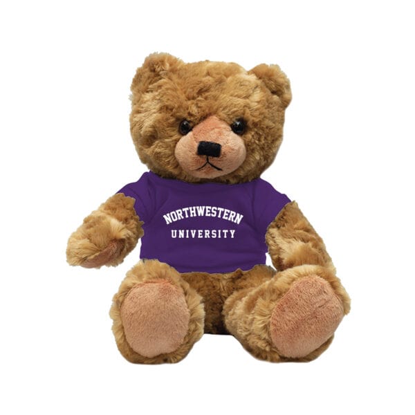 Northwestern University Wildcats Beige Ivy Teddy Bear Wearing Purple "Northwestern University" Tee Shirt