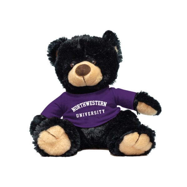 Northwestern University Wildcats Black Noah Teddy Bear Wearing Purple "Northwestern University" Tee Shirt