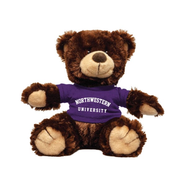 Northwestern University Wildcats Chocolate Noah Teddy Bear Wearing Purple "Northwestern University" Tee Shirt