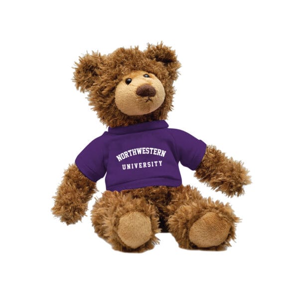 Northwestern University Wildcats Brown Frankie Teddy Bear Wearing Purple "Northwestern University" Tee Shirt