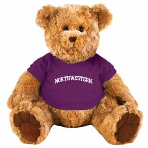 Northwestern University Wildcats Large Traditional Light Brown Teddy Bear Wearing Purple "Northwestern" Tee Shirt