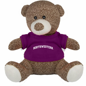 Northwestern University Wildcats Knitted Brown Teddy Bear Wearing Purple "Northwestern" Tee Shirt