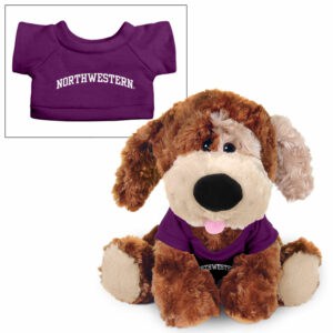Northwestern University Wildcats Luke The Plush Dog Wearing Purple "Northwestern" Tee Shirt