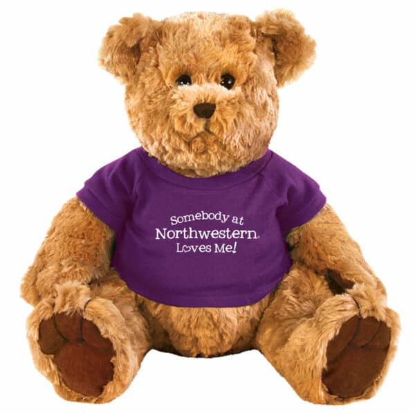 Northwestern University Wildcats Large Traditional Light Brown Teddy Bear Wearing Purple "Somebody from Northwestern Loves Me" Tee Shirt