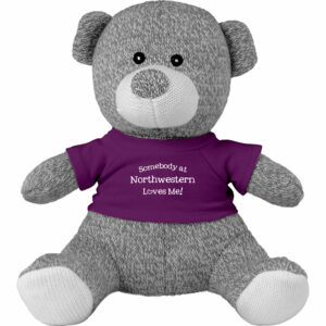 Northwestern University Wildcats Knitted Grey Teddy Bear Wearing Purple "Somebody from Northwestern Loves Me" Tee Shirt