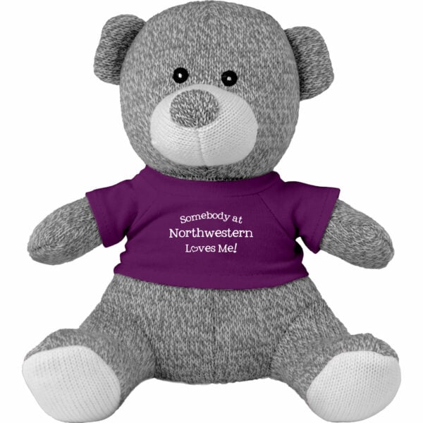 Northwestern University Wildcats Knitted Grey Teddy Bear Wearing Purple "Somebody from Northwestern Loves Me" Tee Shirt