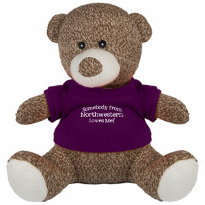 Northwestern University Wildcats Knitted Brown Teddy Bear Wearing Purple "Somebody from Northwestern Loves Me" Tee Shirt