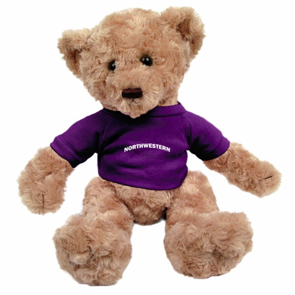 Northwestern University Wildcats Dexter Tan Teddy Bear Wearing Purple "Northwestern" Tee Shirt