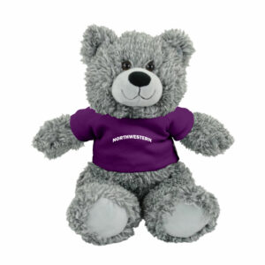 Northwestern University Wildcats Bodie Teddy Bear Wearing Purple "Northwestern" Tee Shirt
