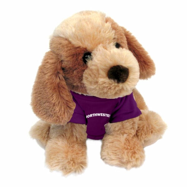 Northwestern University Wildcats Bo The Plush Dog Wearing Purple "Northwestern" Tee Shirt