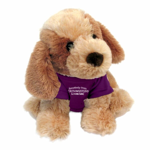 Northwestern University Wildcats Bo The Plush Dog Wearing Purple "Somebody from Northwestern Loves Me" Tee Shirt
