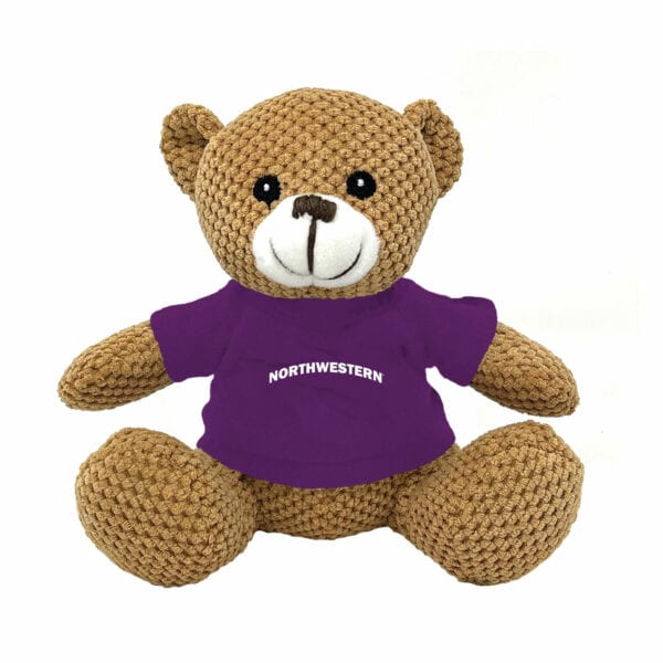 Northwestern University Wildcats Friendly Bunch Bear Wearing Purple "Northwestern" Tee Shirt