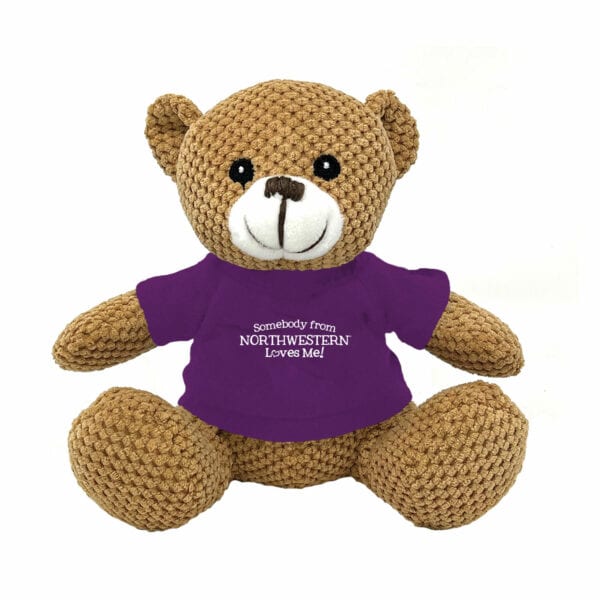 Northwestern University Wildcats Friendly Bunch Bear Wearing Purple "Somebody from Northwestern Loves Me" Tee Shirt