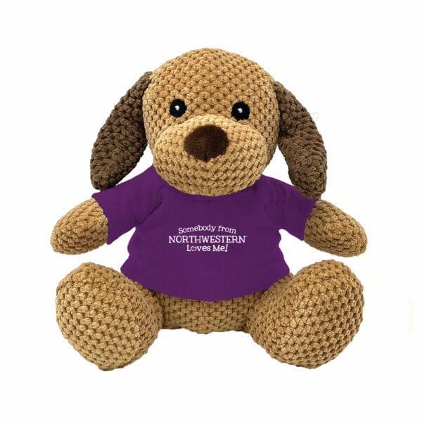 Northwestern University Wildcats Friendly Bunch Dog Wearing Purple "Somebody from Northwestern Loves Me" Tee Shirt