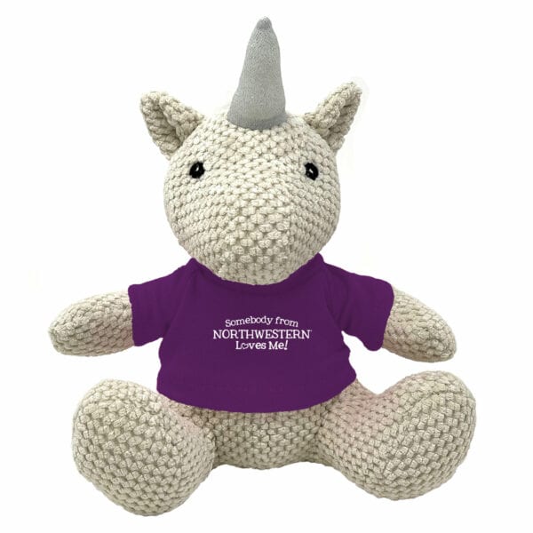 Northwestern University Wildcats Friendly Bunch Unicorn Wearing Purple "Somebody from Northwestern Loves Me" Tee Shirt