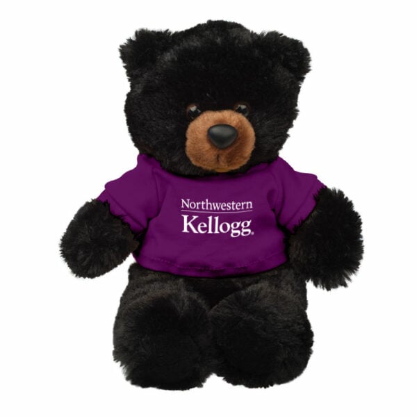 Northwestern I Kellogg Buster Black Teddy Bear Wearing Purple "Northwestern I Kellogg" Tee Shirt