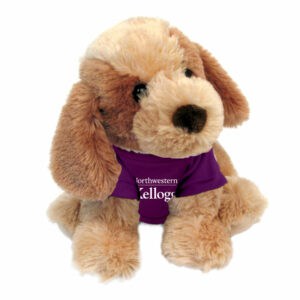 Northwestern I Kellogg Bo The Plush Dog Wearing Purple "Northwestern I Kellogg" Tee Shirt