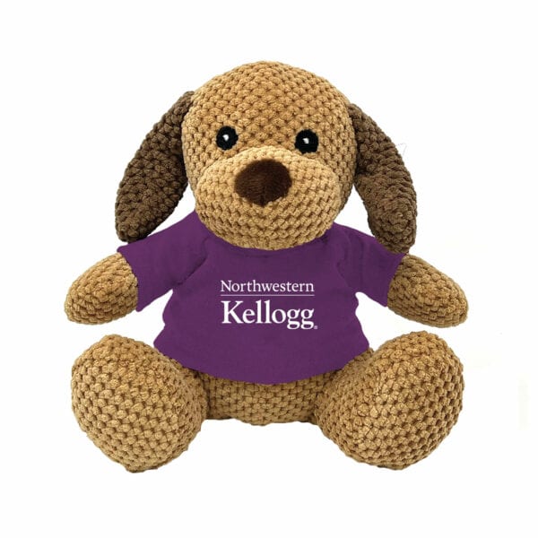 Northwestern I Kellogg Friendly Bunch Dog Wearing Purple "Northwestern I Kellogg" Tee Shirt