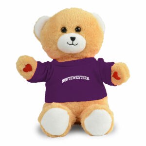 Northwestern University Wildcats Lovie Teddy Bear Wearing Purple "Northwestern" Tee Shirt