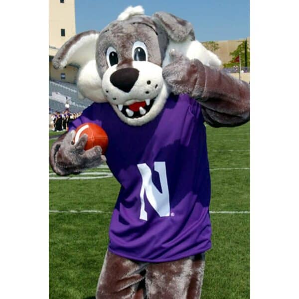 Northwestern University Wildcats Mascot Willie The Wildcat Pillow - Image 4